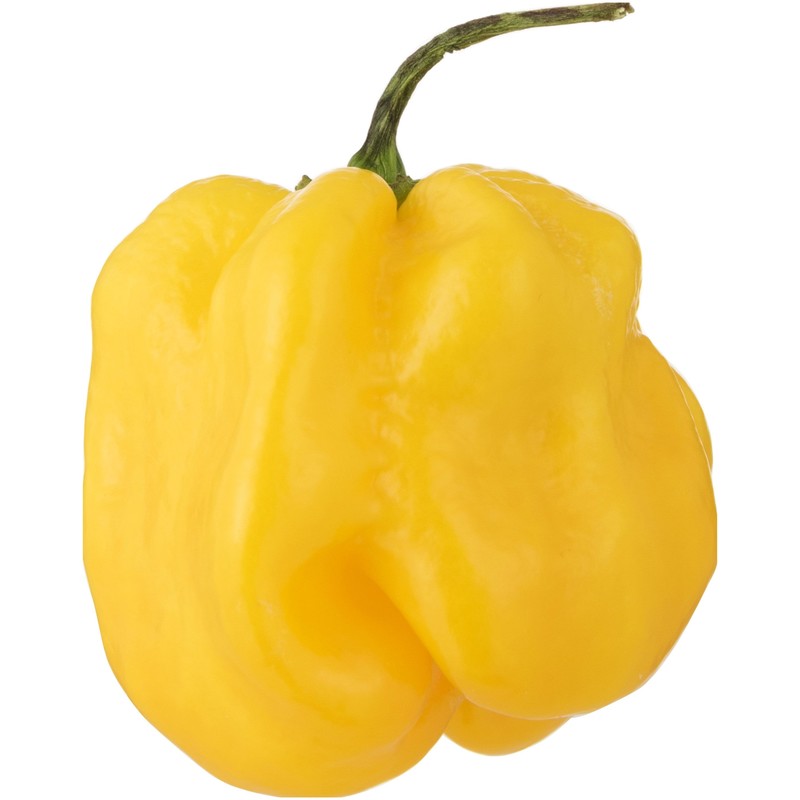 Adjuma pepper